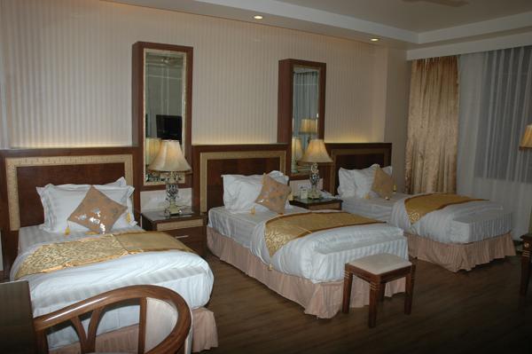 Hotel Picasso Paschim Vihar Delhi - Couple Friendly Local Ids Accepted Extérieur photo